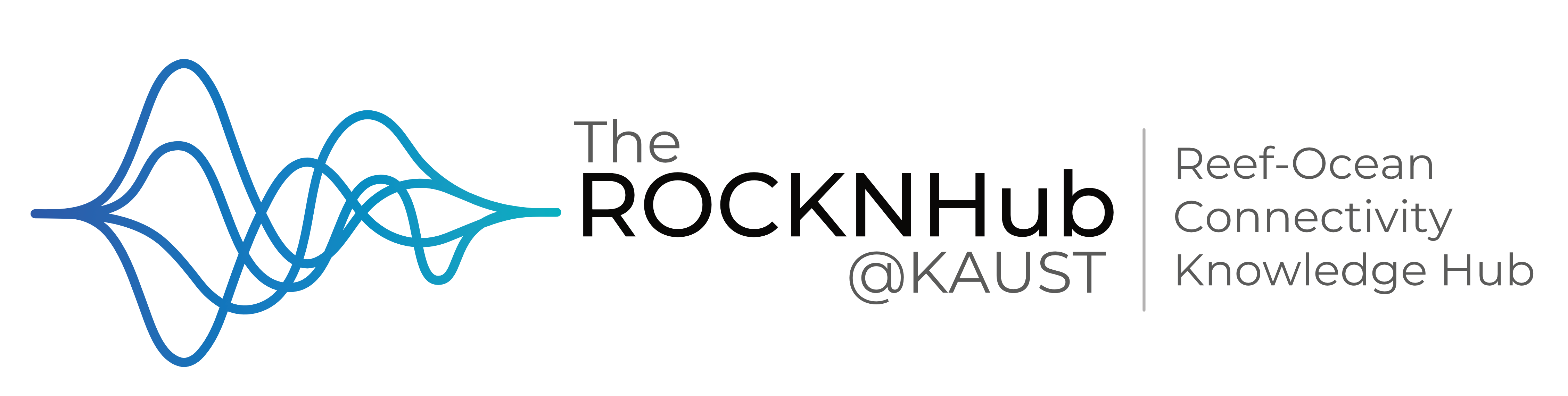ROCKNHub Logo